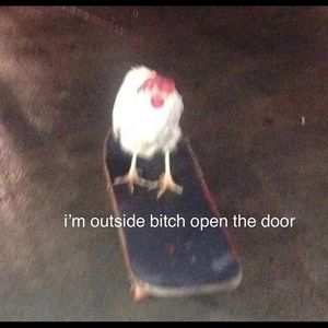 Meet your Posher, Lillian